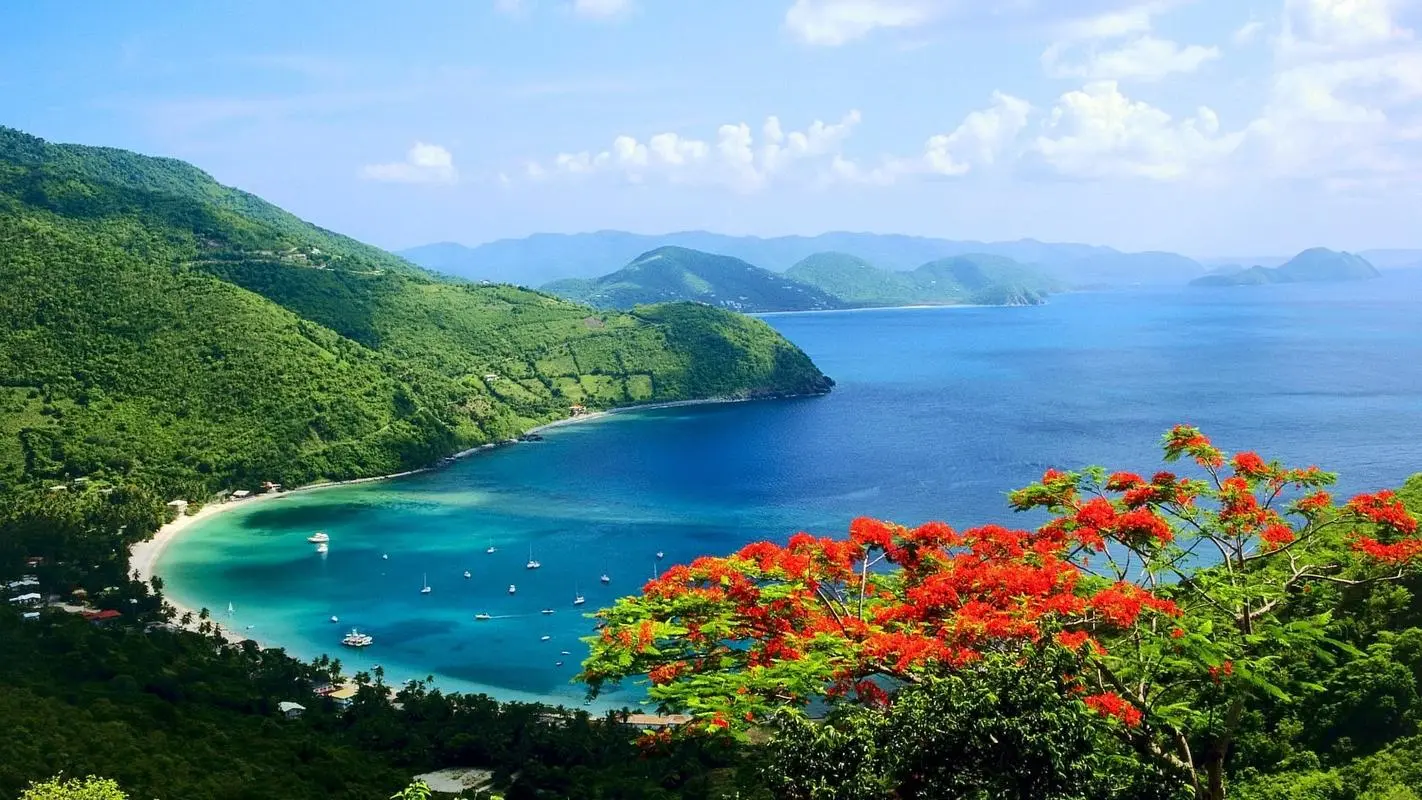 高精度智能系统
